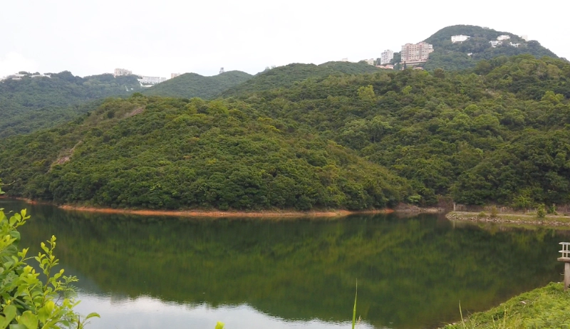 薄扶林水塘道 行山