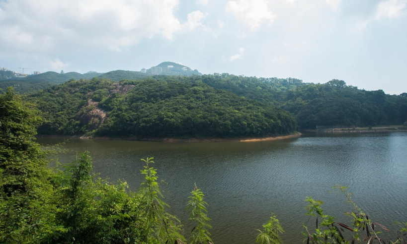 薄扶林水塘道 路線