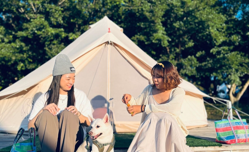 寵物友善露營