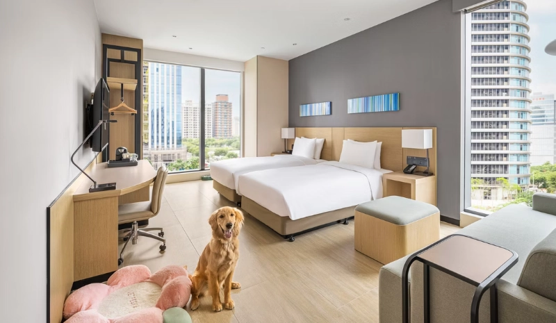 野柳寵物友善民宿