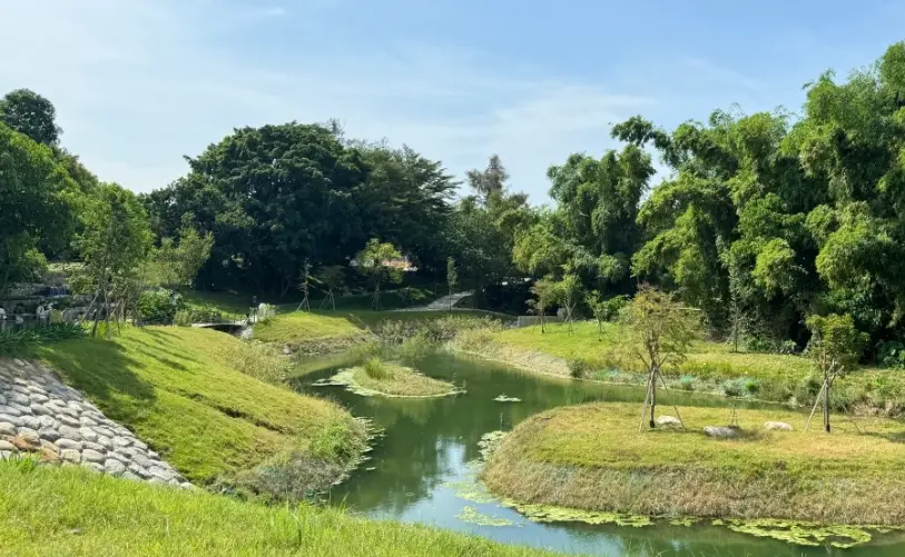 台南森林系景點 台南森林系景點