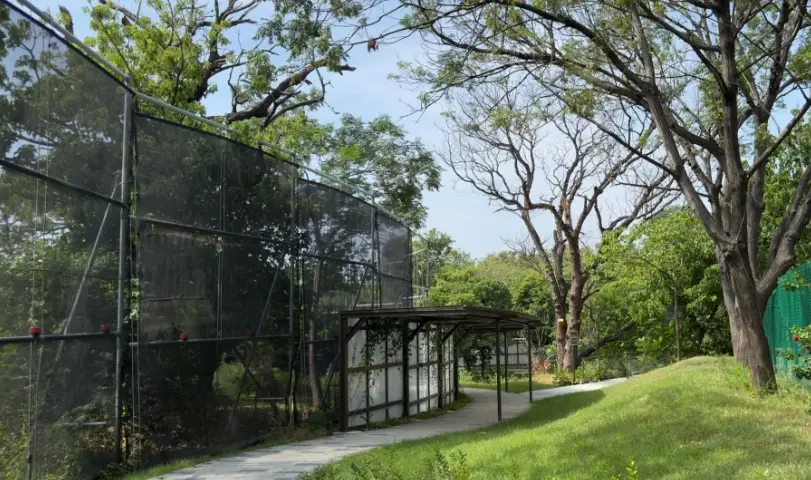 台南龍貓隧道 台南龍貓隧道