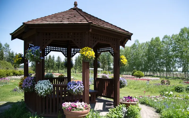 北海道租車 北海道租車