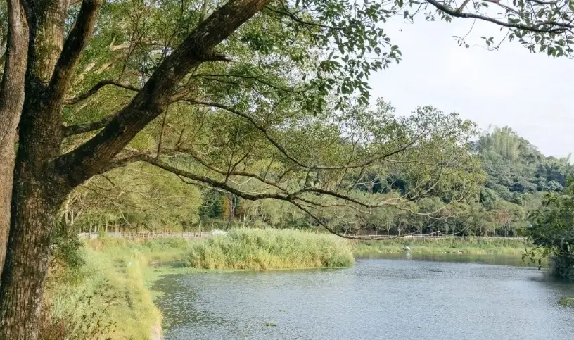 台中兩天一夜行程
