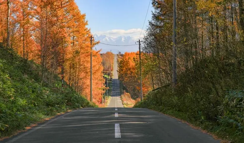 北海道自駕 北海道自駕
