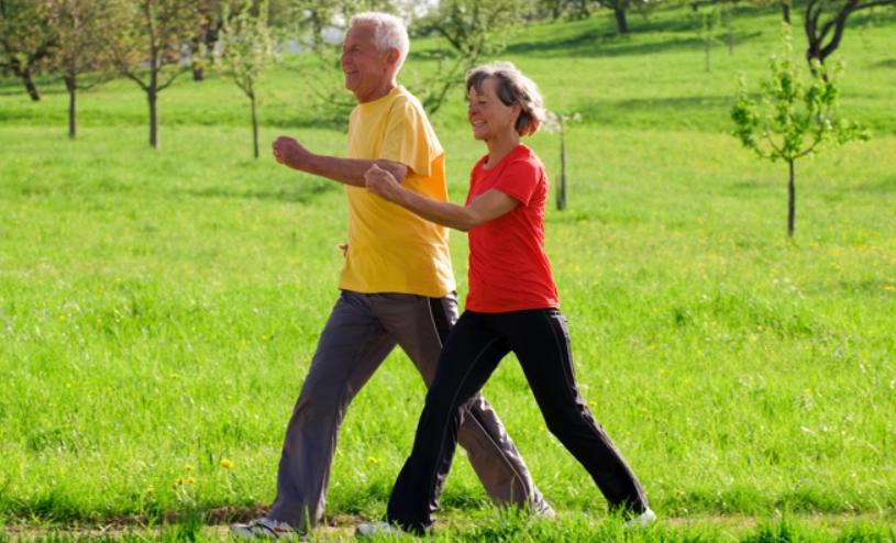 脂肪肝逆轉方法