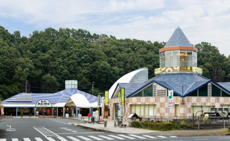 北海道開車注意事項 北海道開車注意事項
