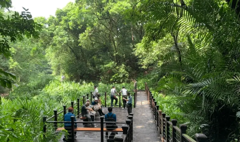 台南森林系景點 台南森林系景點