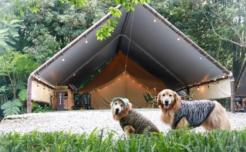 寵物友善露營區 寵物友善露營區