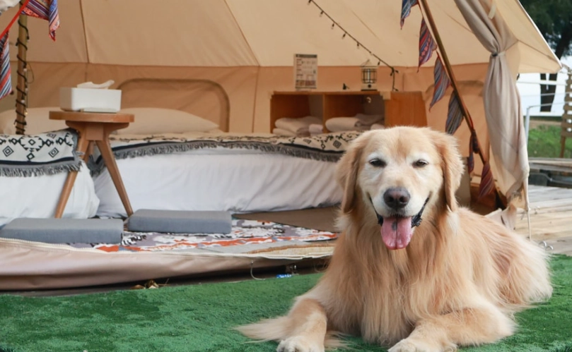 懶人露營推薦 懶人露營推薦