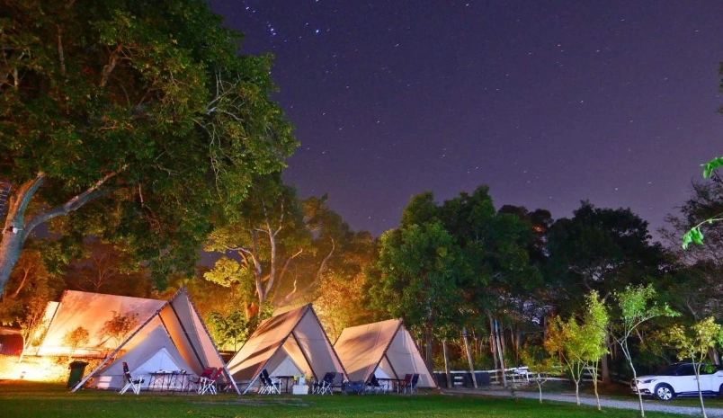 新手露營 新手露營