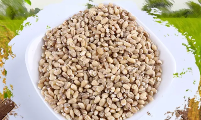 麥米營養 麥米營養