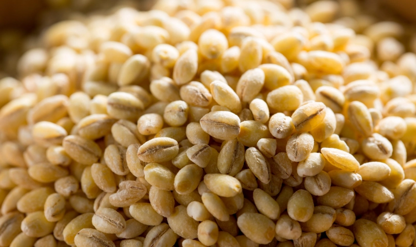 麥米功效 麥米功效