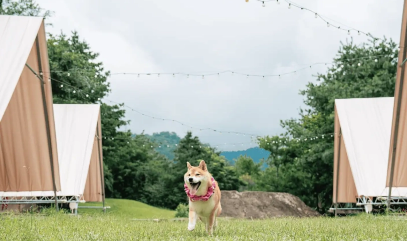 寵物友善露營區彰化