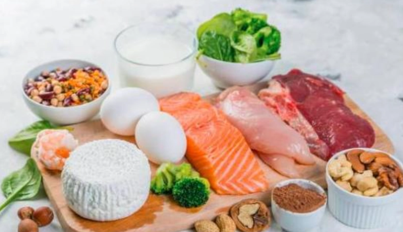 高蛋白飲食 腎臟負擔