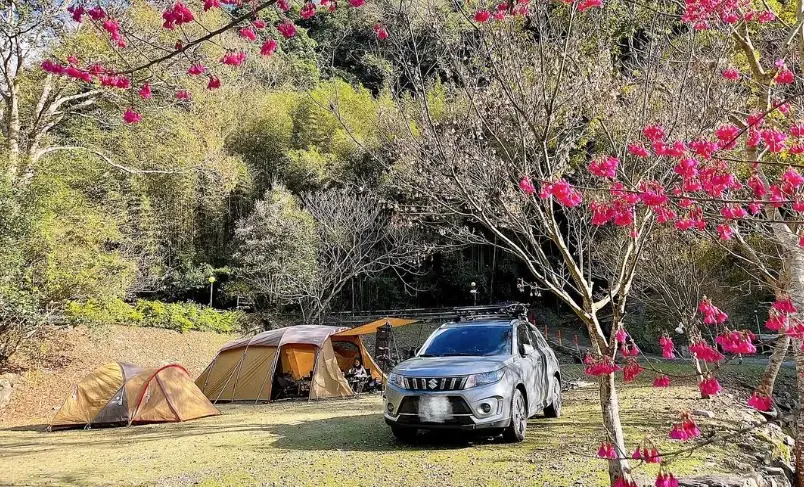 桃園露營免裝備