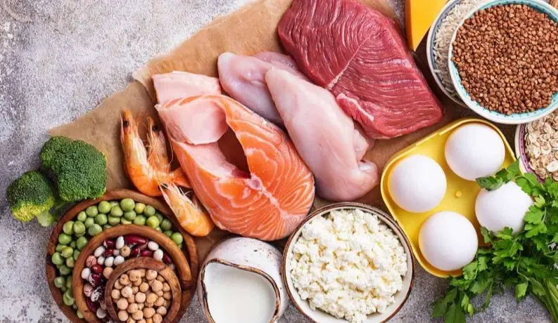 高蛋白 飲食 缺點