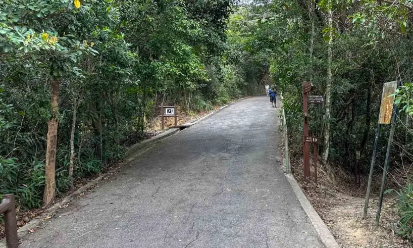 灣仔自然徑 行山