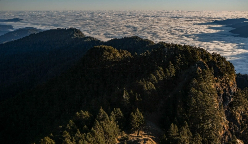新手登山路線 新手登山路線