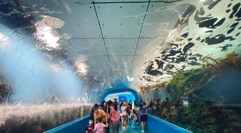 桃園親子室內景點