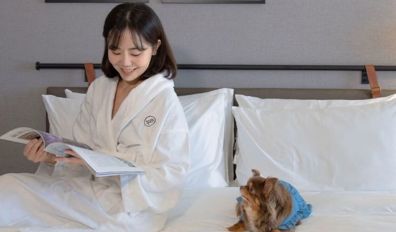 台北寵物友善旅館 台北寵物友善旅館