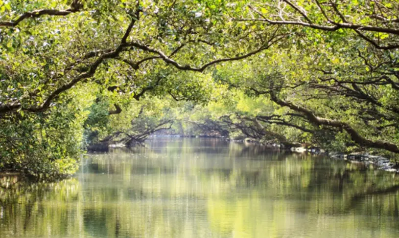 台南一日遊免費