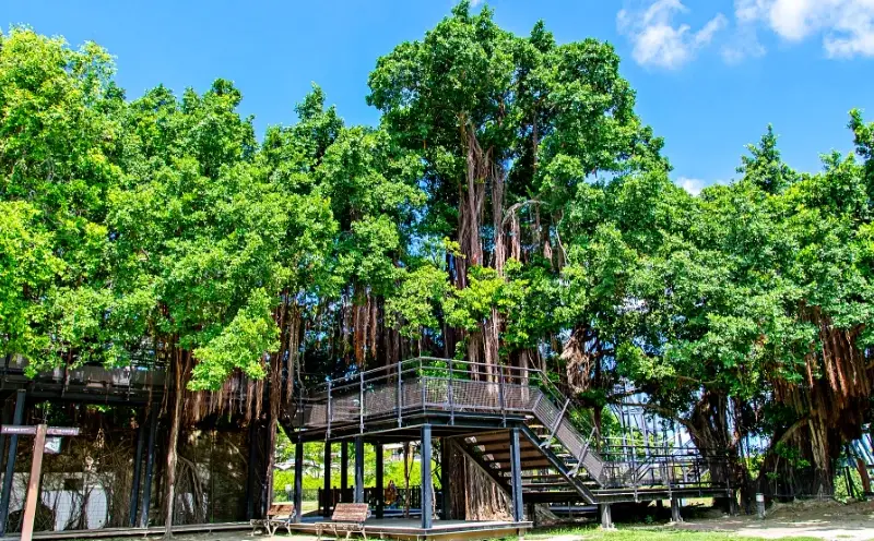 台南親子免費景點