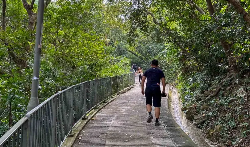 灣仔自然徑 路線