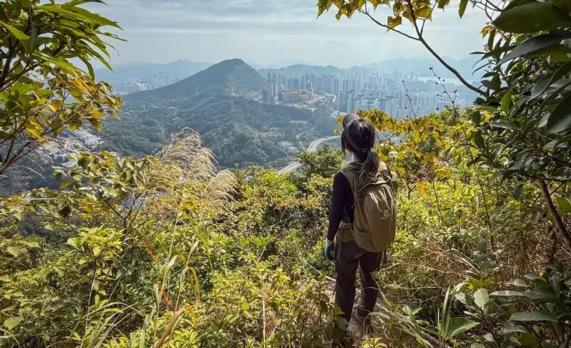 新手登山路線 新手登山路線