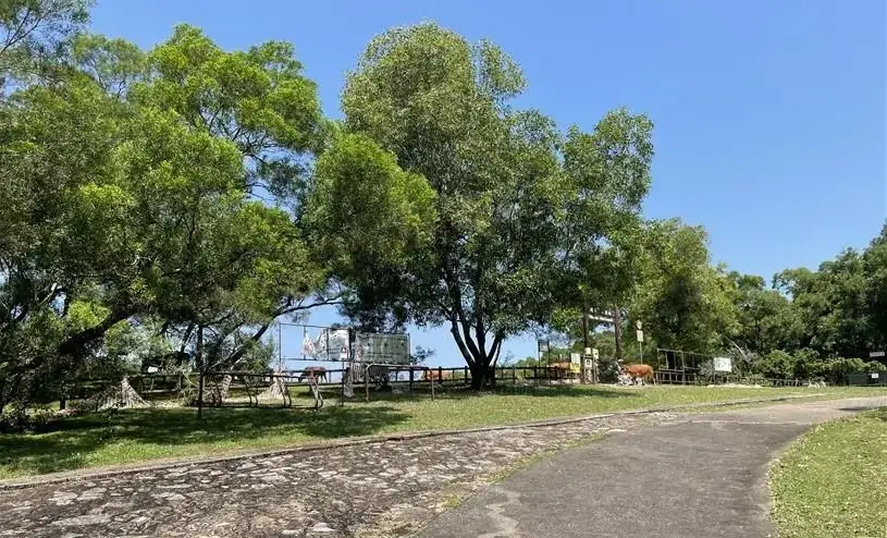 灣仔自然徑 行山