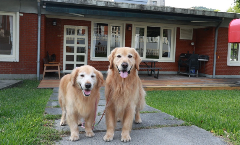 台北寵物友善旅館 台北寵物友善旅館