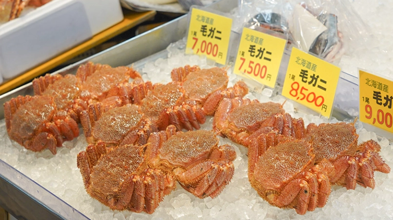 函館朝市 帝王蟹 函館朝市 帝王蟹