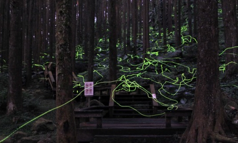 台灣螢火蟲景點