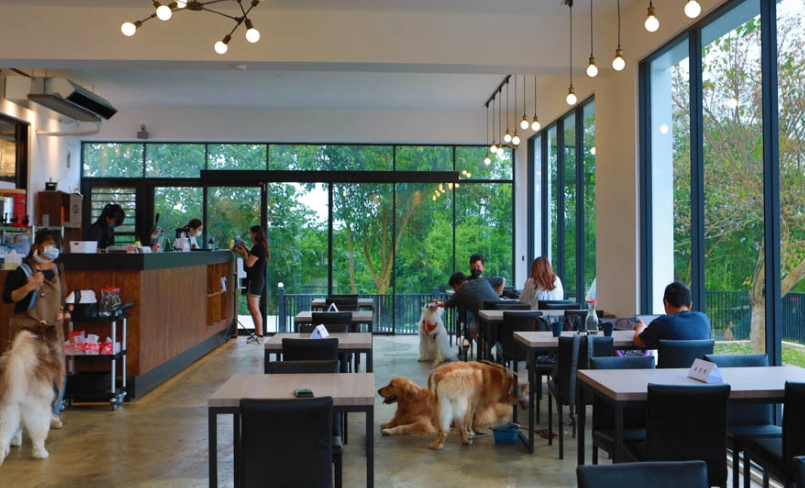 寵物友善餐廳推薦