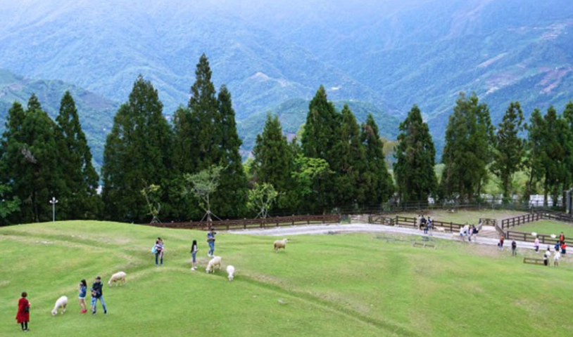 清境兩天一夜行程 清境兩天一夜行程