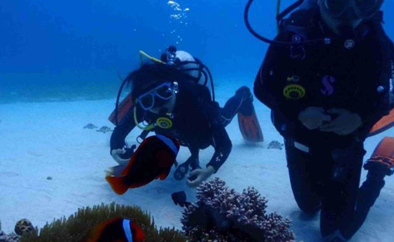 馬爾地夫潛水費用 馬爾地夫潛水費用