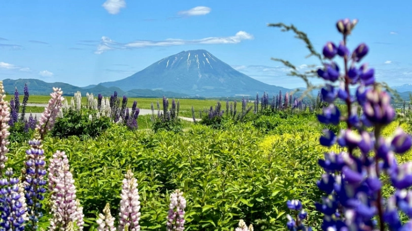 北海道旅遊攻略 北海道旅遊攻略