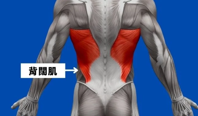 背部緊繃 背部緊繃