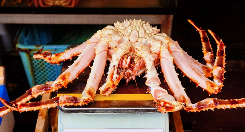 函館朝市 帝王蟹 函館朝市 帝王蟹