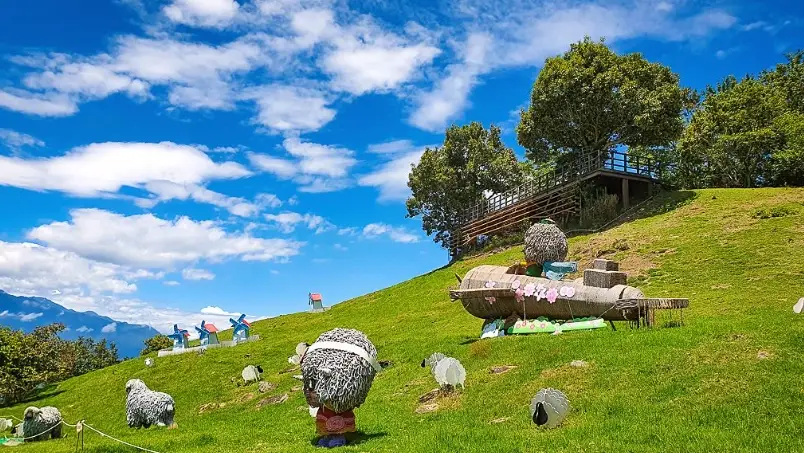 清境綿羊秀 清境綿羊秀