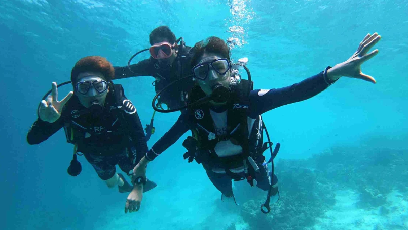 馬爾地夫潛點推薦 馬爾地夫潛點推薦