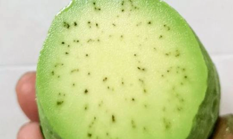 牛油果黑絲能不能吃？完整解析食用安全與料理技巧