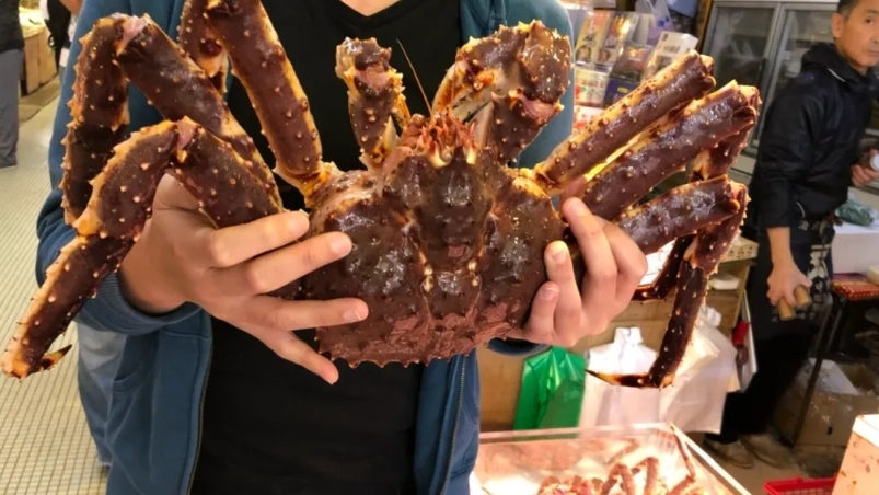北海道帝王蟹 北海道帝王蟹