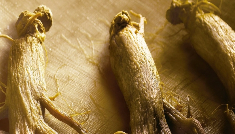 粉光蔘禁忌 粉光蔘禁忌