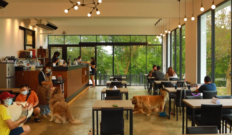 台中帶寵物用餐