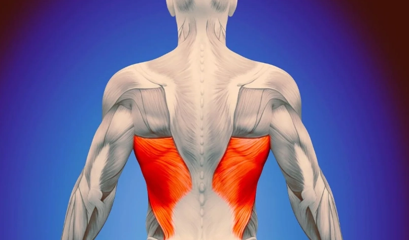 背闊肌拉傷 背闊肌拉傷