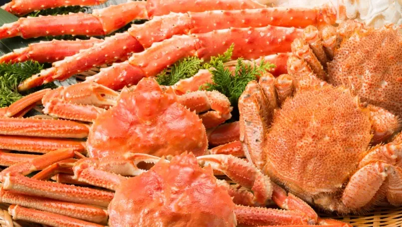 北海道帝王蟹 北海道帝王蟹