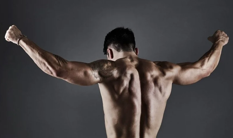 闊背肌訓練動作 闊背肌訓練動作