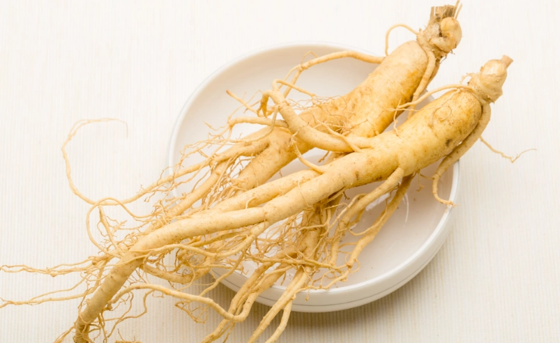 粉光蔘怎麼吃 粉光蔘怎麼吃