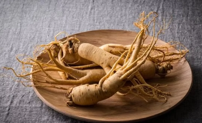 人參注意事項 人參注意事項